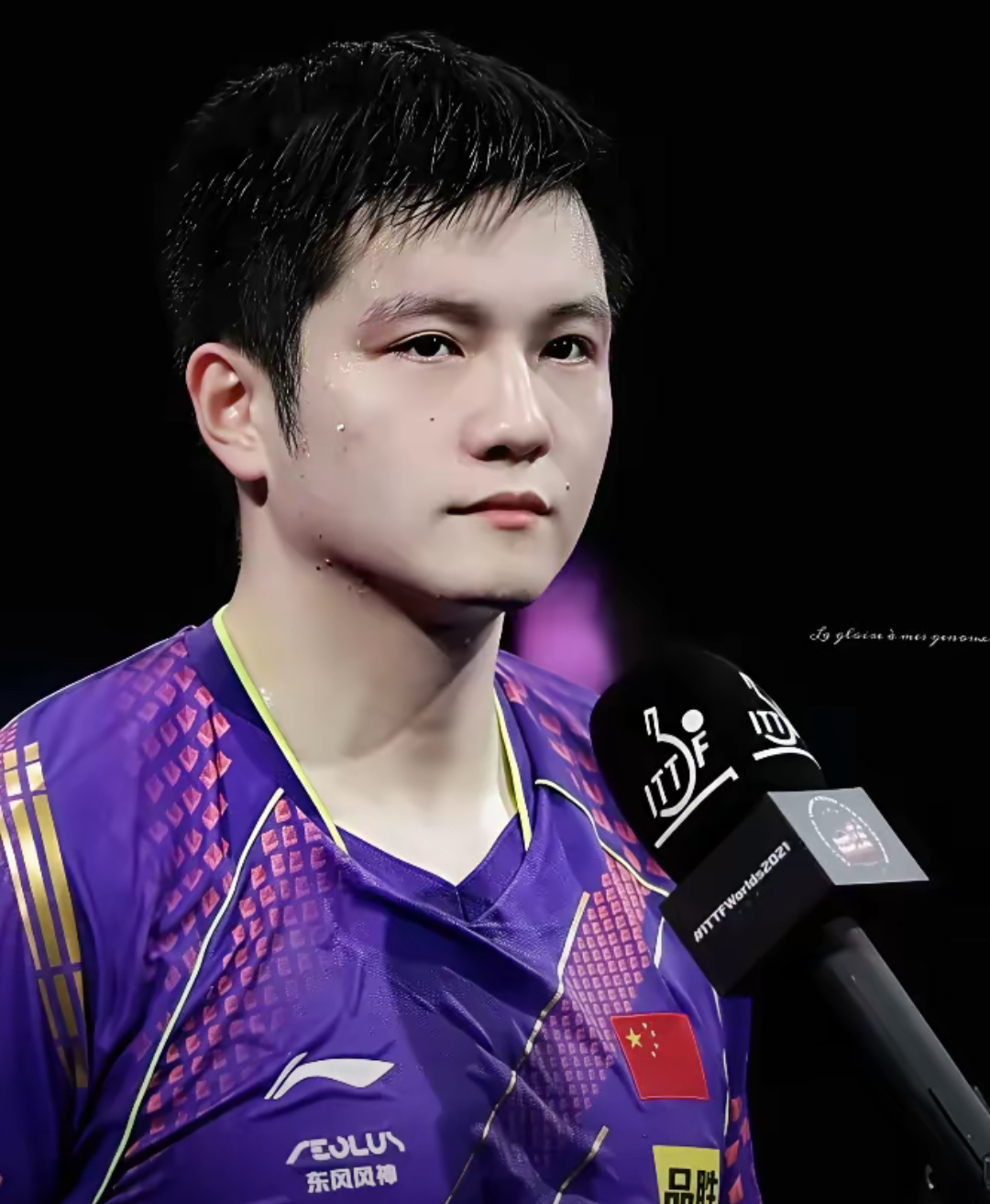 包含中国队险胜法国队，樊振东刷新纪录的词条